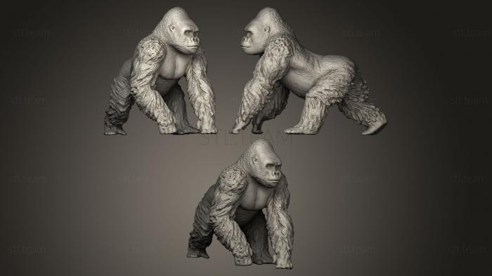 3D model Gorila (STL)